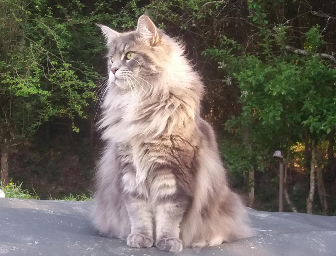 Hugoren Egoitza Zubialde Esterno foto